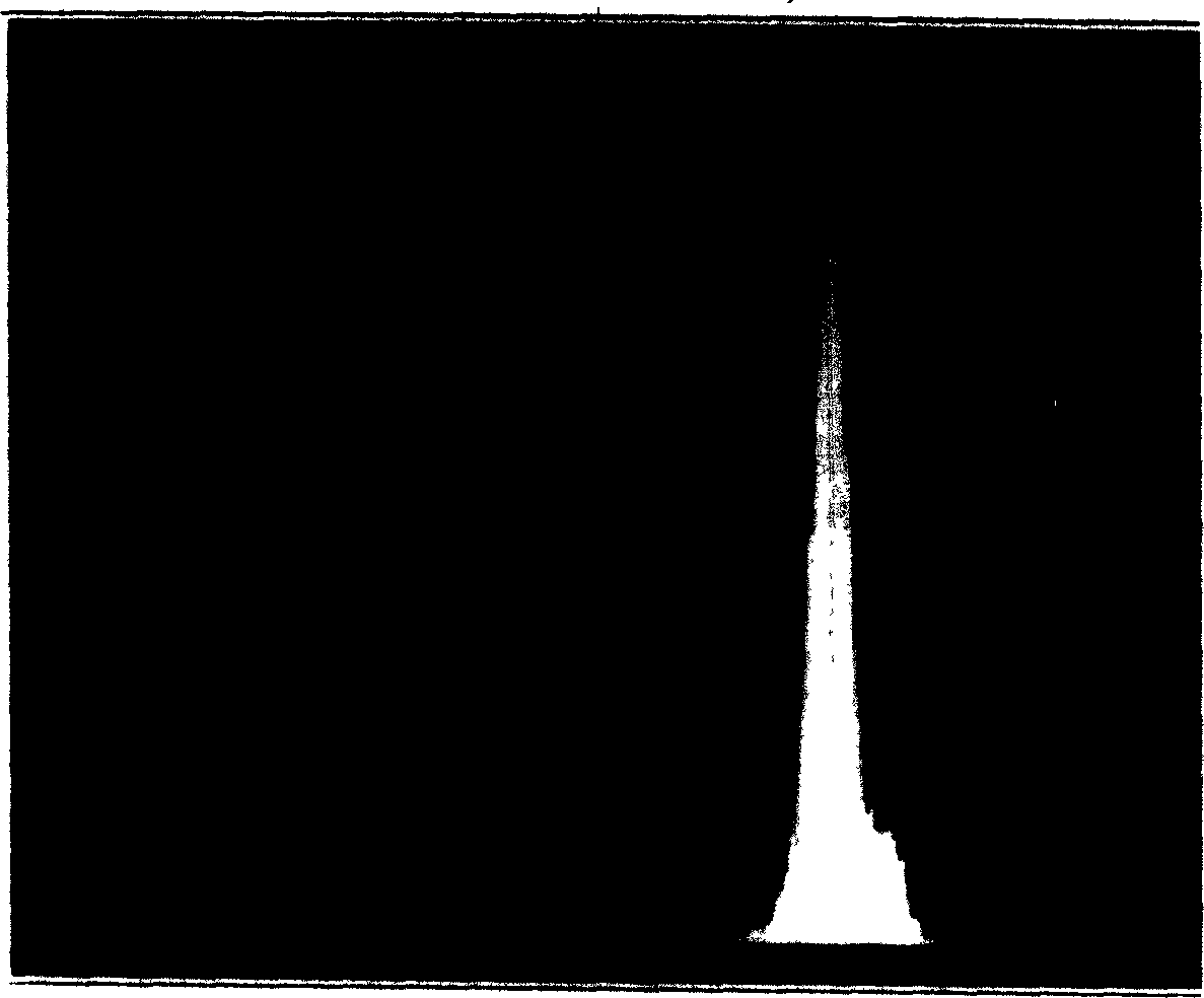 Method for separating XY germ cell of mammal