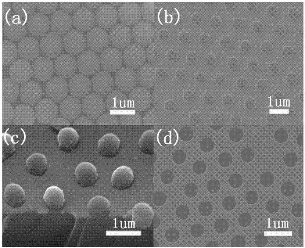 A preparation method of silicon nanowire array with excellent field emission performance and tip structure