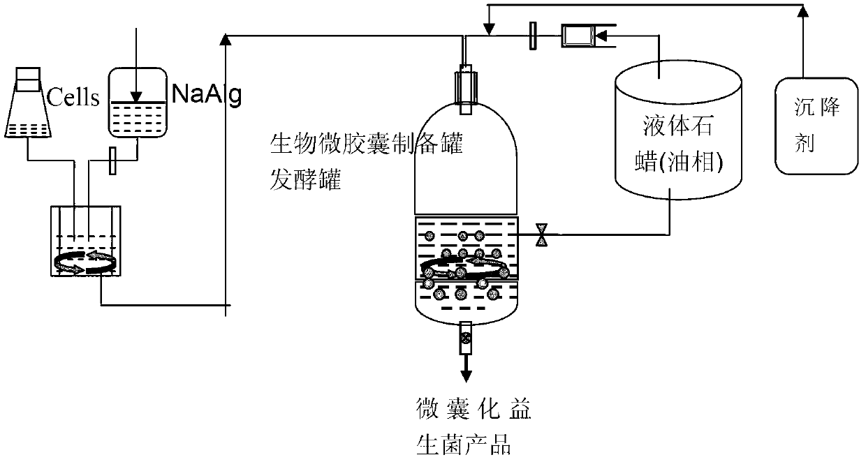 Method for preparing coating microcapsule before microbial fermentation by utilizing common fermentation tank