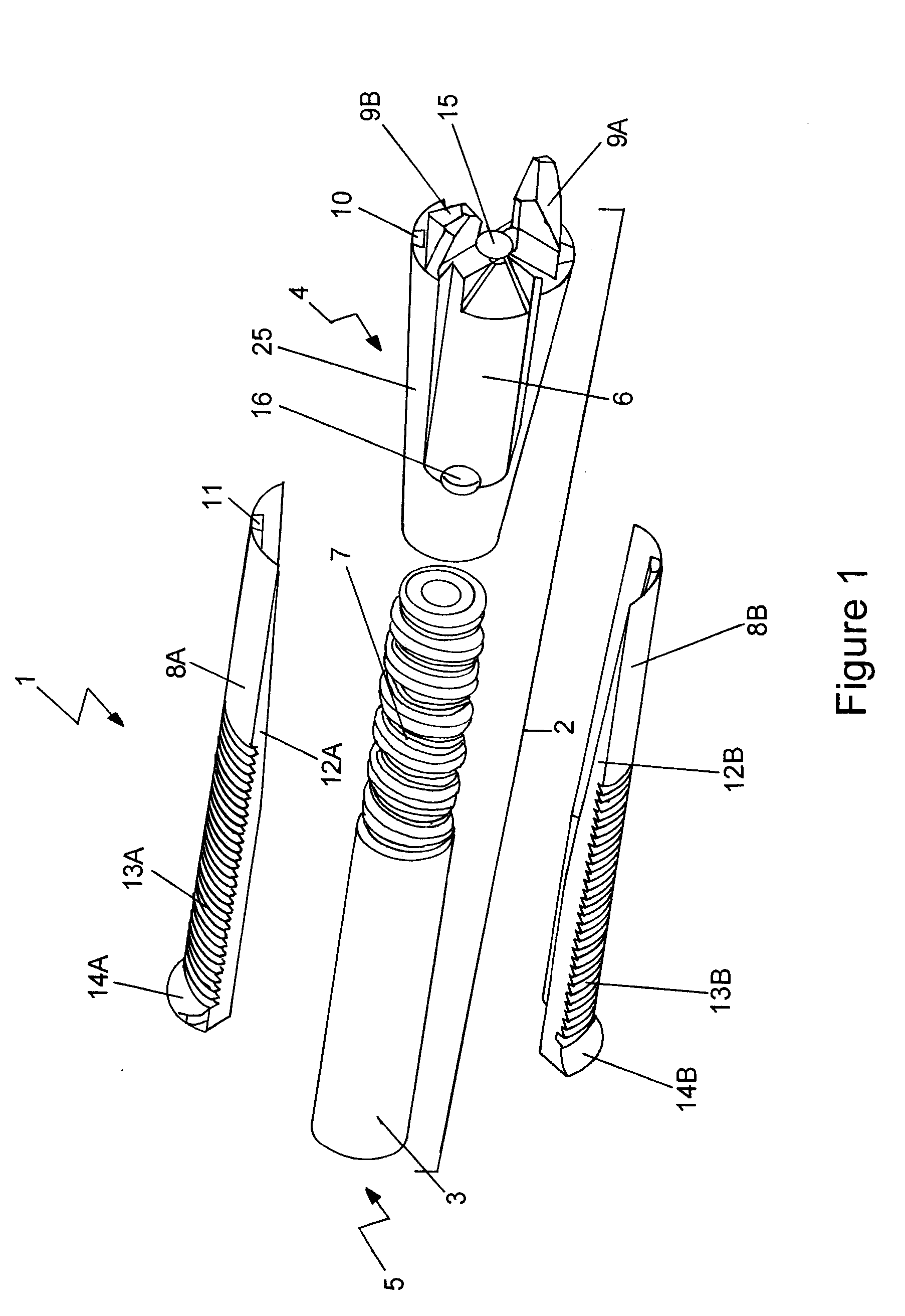 Anchoring device