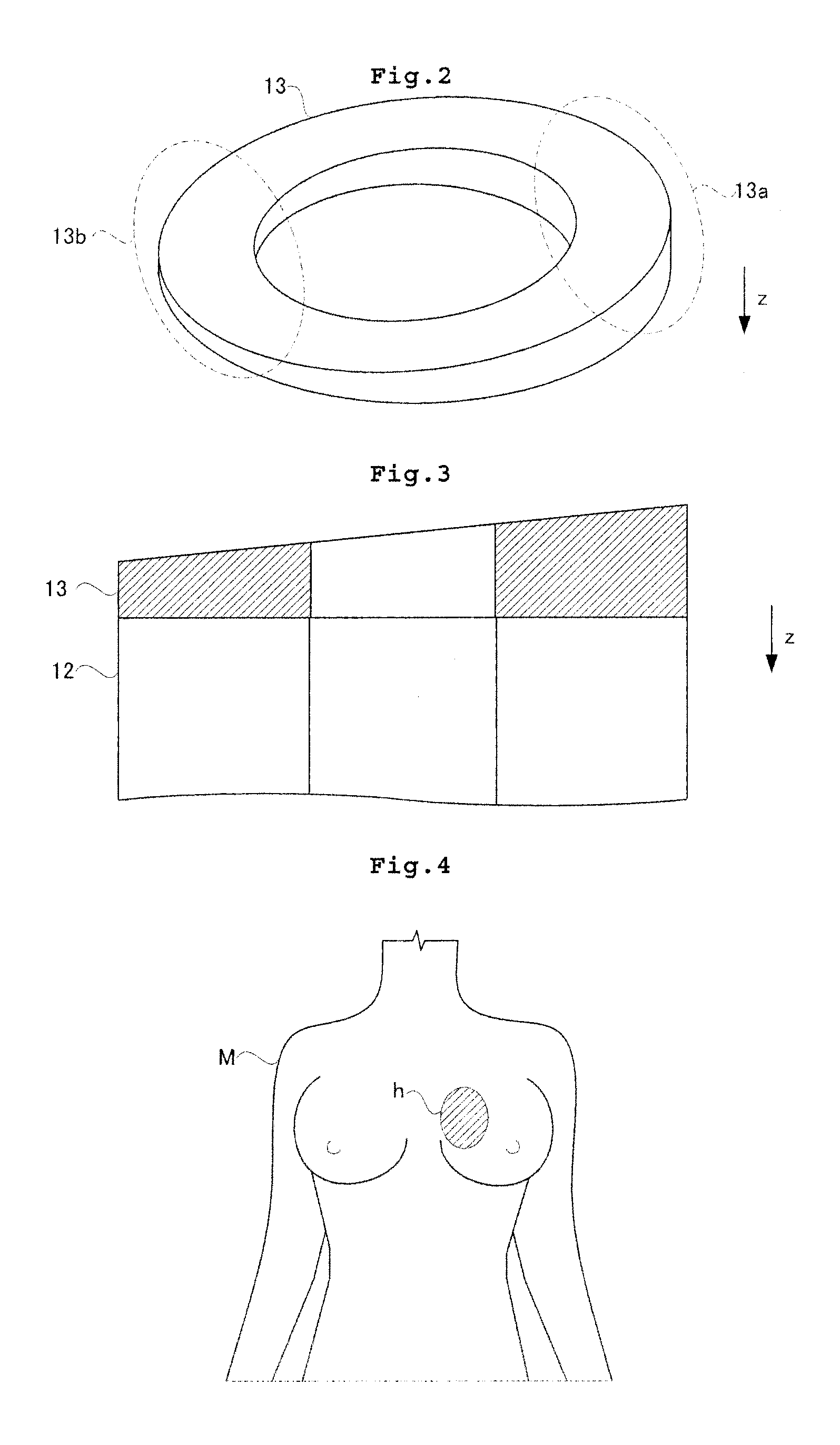 Radiographic apparatus for breast examination