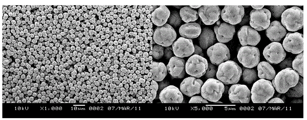 Preparation method for europium-doping calcium titanate fluorescent powder