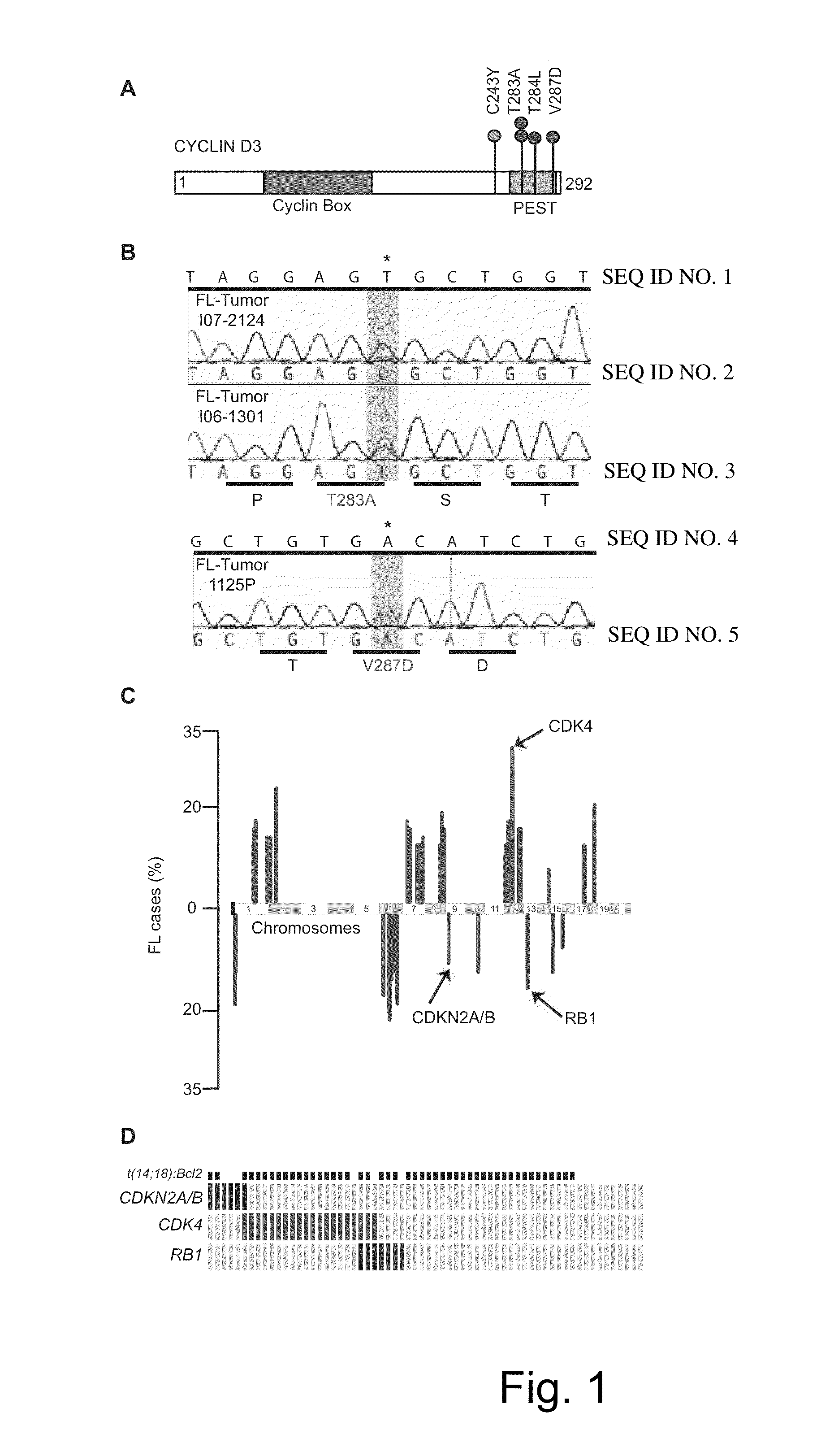 Methods for Treatment of Lymphomas with Mutations in Cell Cycle Genes