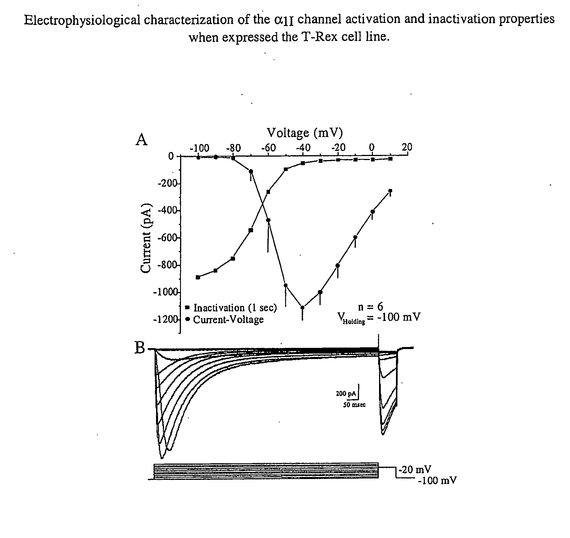 Nucleic Acid Molecules Encoding Novel Human Low-Voltage Activated Calcium Channel Proteins, Designed-Alpha 1I-1 and Alpha 1I-2, Encoded Proteins and Methods of Use Thereof