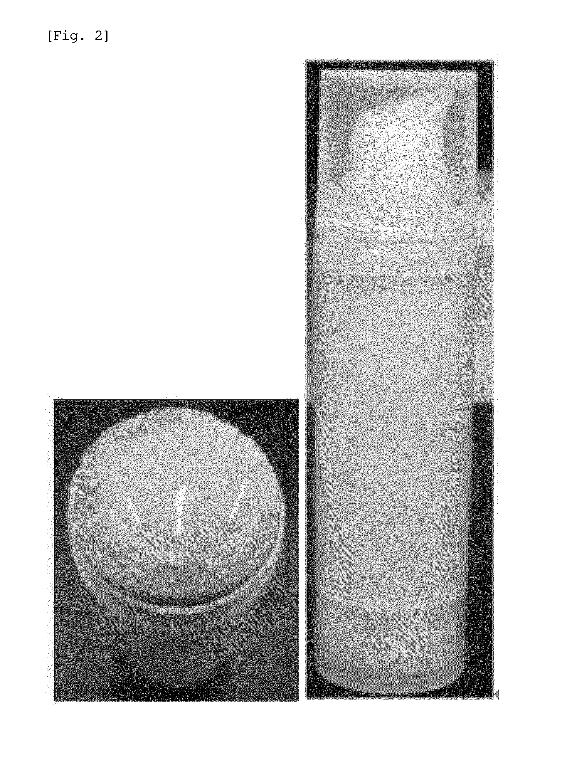 Cosmetic composition prepared by impregnation in urethane foam