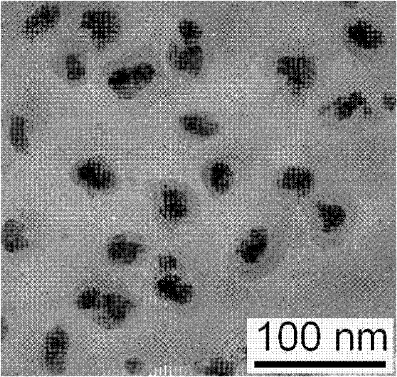 Surface carboxylic acid functionalized water-soluble rare earth doped barium fluoride chloride nano-luminescent material and preparation method thereof