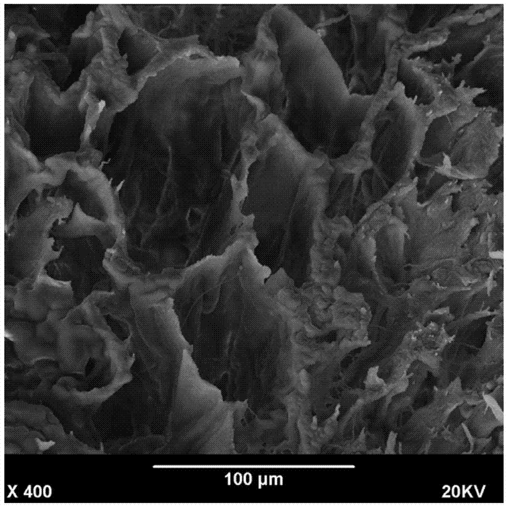 Preparation method for tissue engineering nerves of compound seed cells