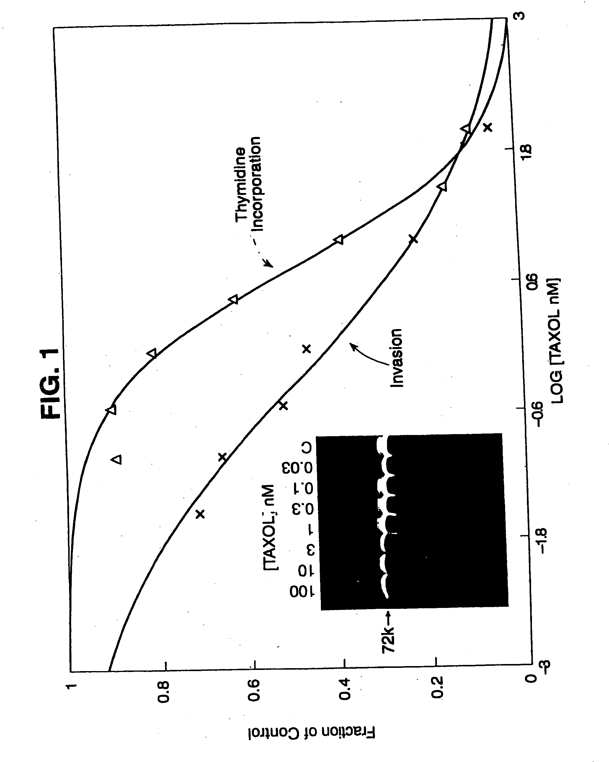 Method for treating atherosclerosis or restenosis using microtubule stabilizing agent