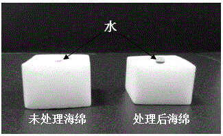 Method for preparing efficient hydrophobic oil-absorbing sponge