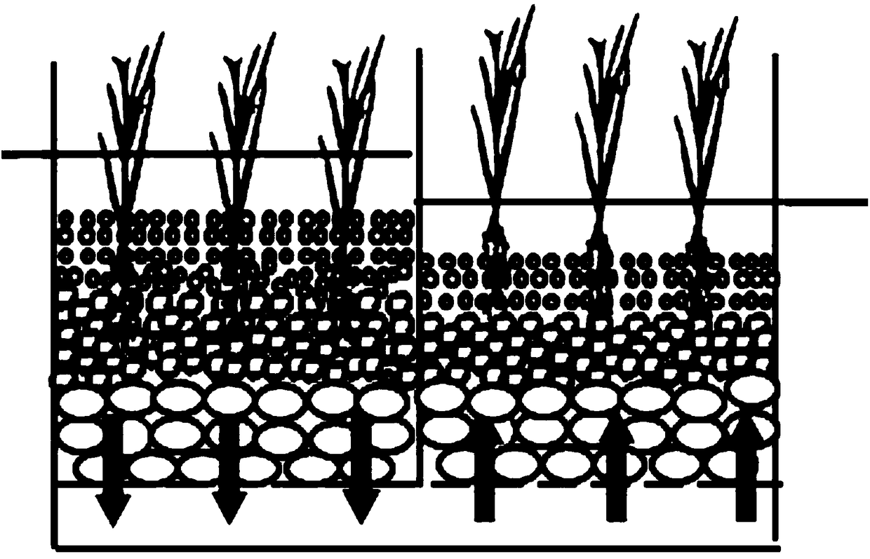 Fish, prawn, algae, abalone and sea cucumber circulating water ecological comprehensive breeding system