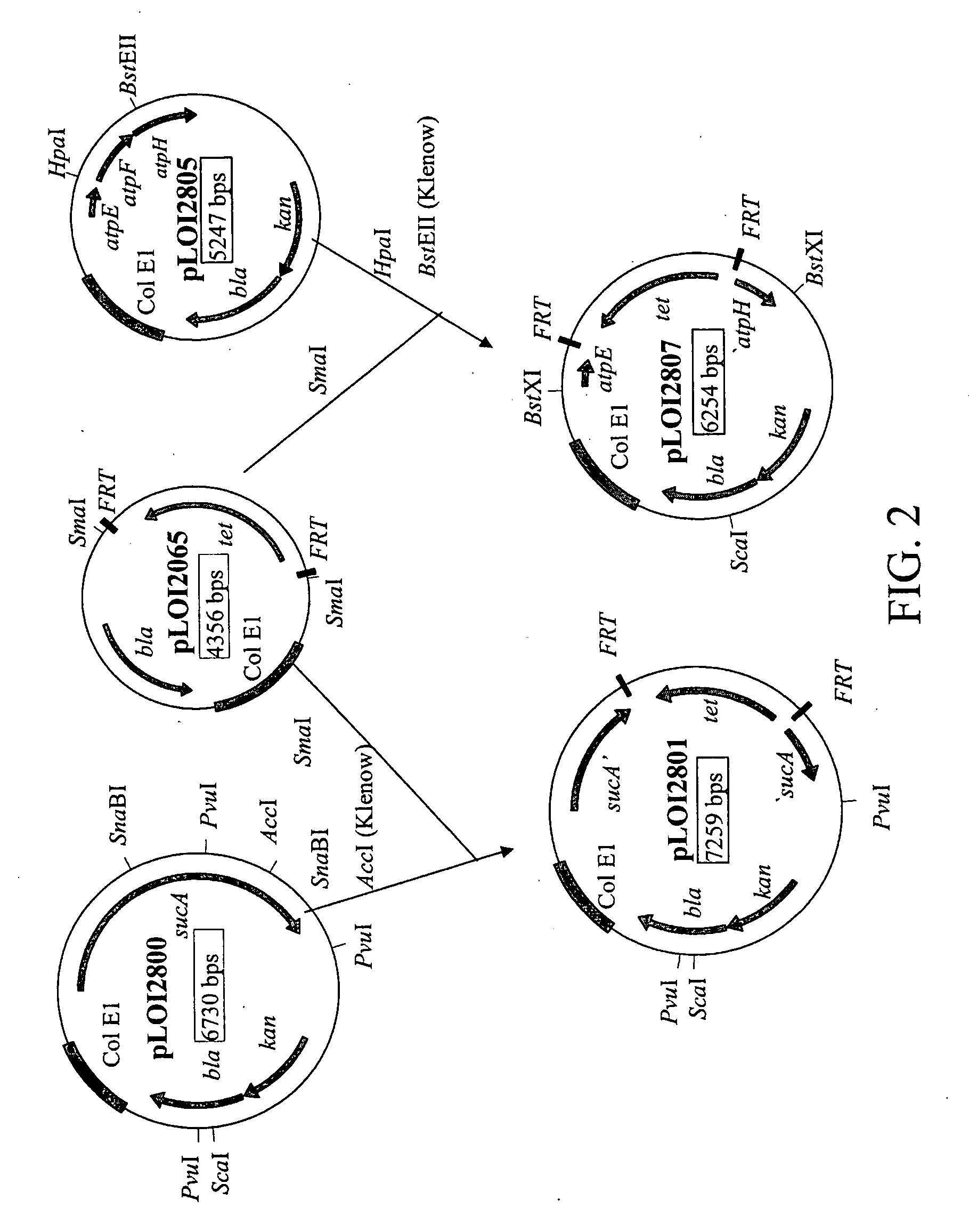 Materials and methods for the efficient production of acetate and other products