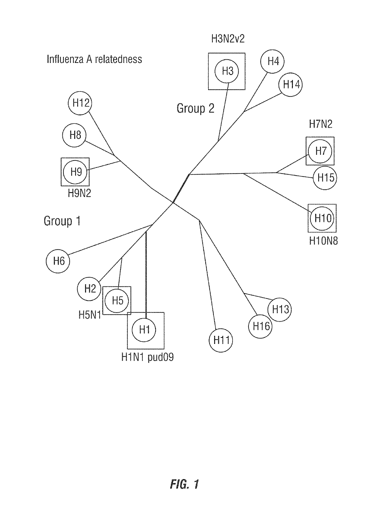 Universal mammalian influenza vaccine