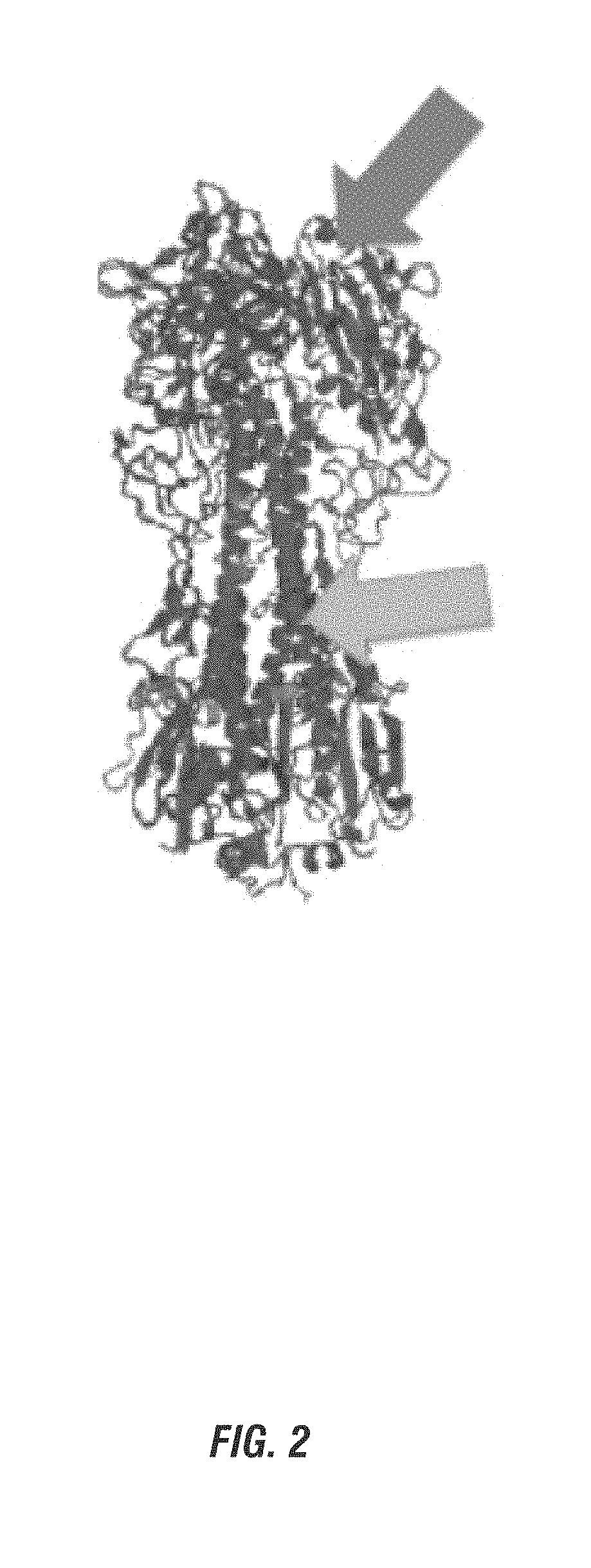 Universal mammalian influenza vaccine