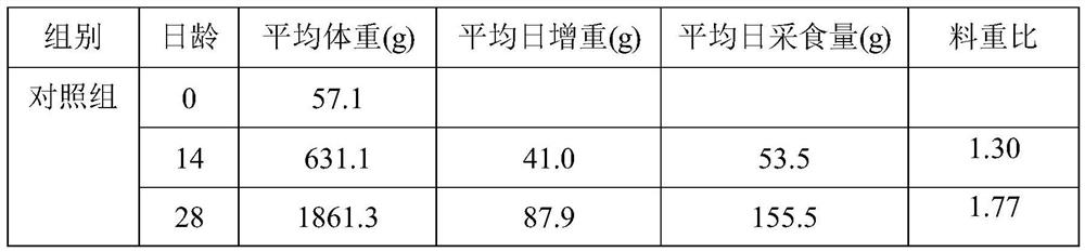 Composite probiotic for fermenting natural plants, feed additive for broiler chicken and preparation method of feed additive