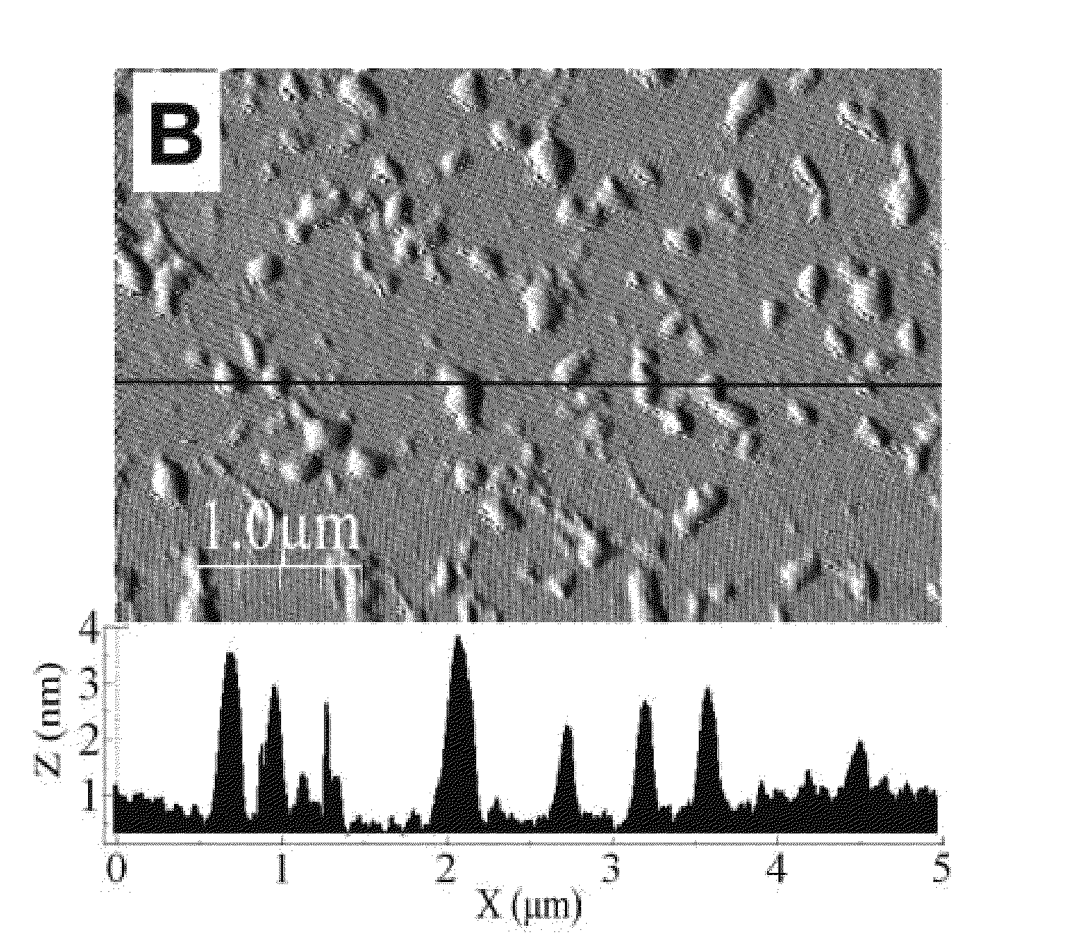 Nanomatrix separation of chromophores and uses thereof in luminescent devices