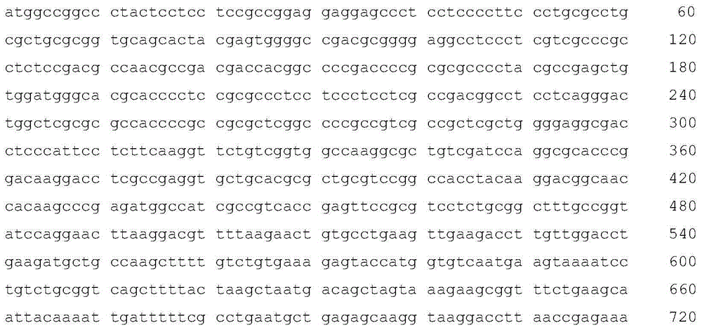 Phosphomannose isomerase gene OsPMI1 originated from oryza sativa and application thereof