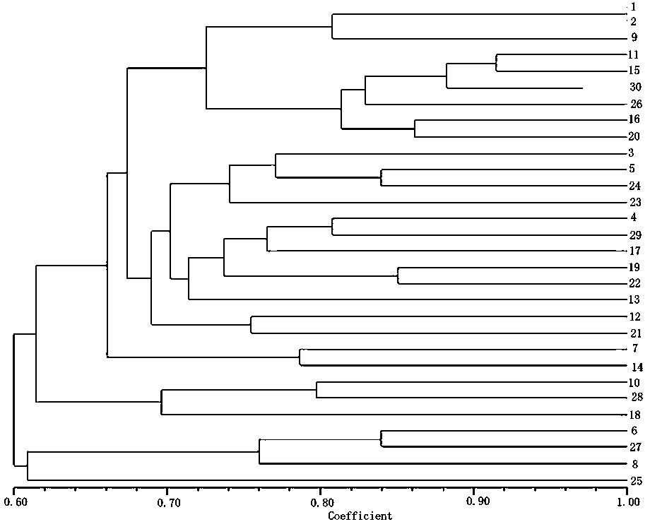 Lianwu est-ssr molecular marker