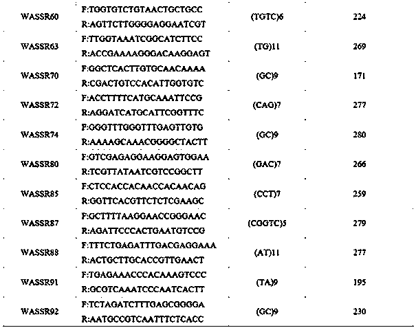 Lianwu est-ssr molecular marker