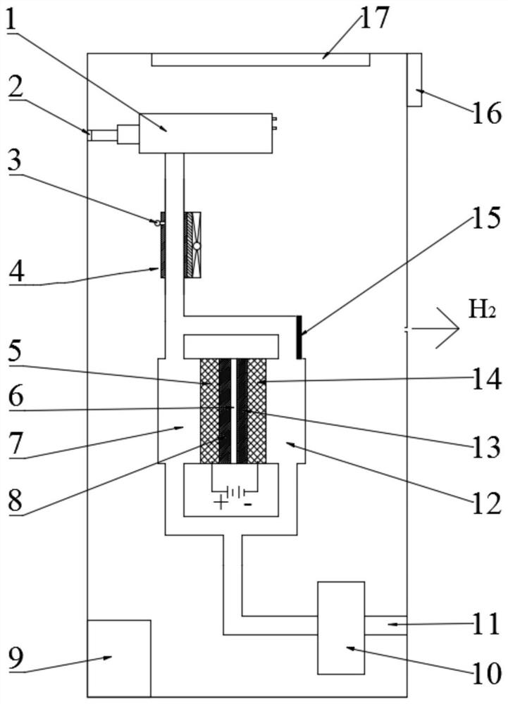 Ozone water preparation device and method