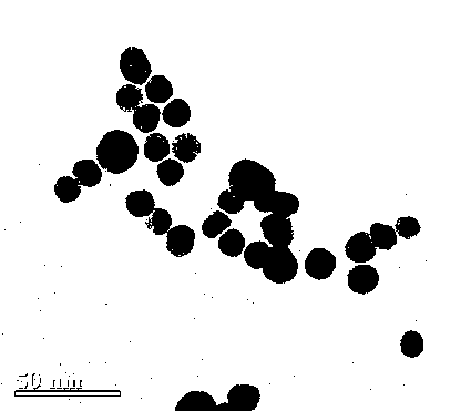 Zip-Tips for trapping sulfhydryl-containing peptide segment and preparation method thereof