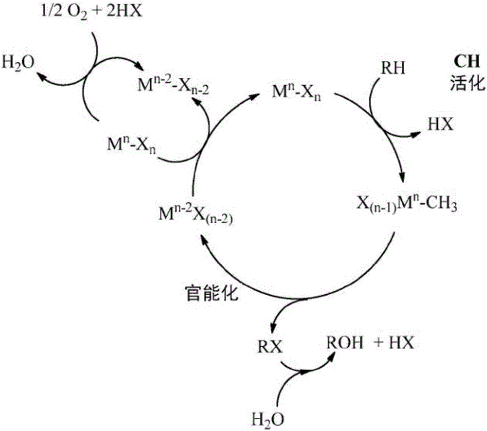 Process for the functionalization of heteroalkanes and arenes