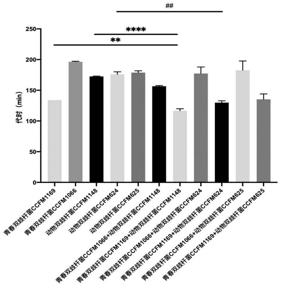 A strain of Bifidobacterium adolescentis that promotes the proliferation of animal bifidobacteria and its application