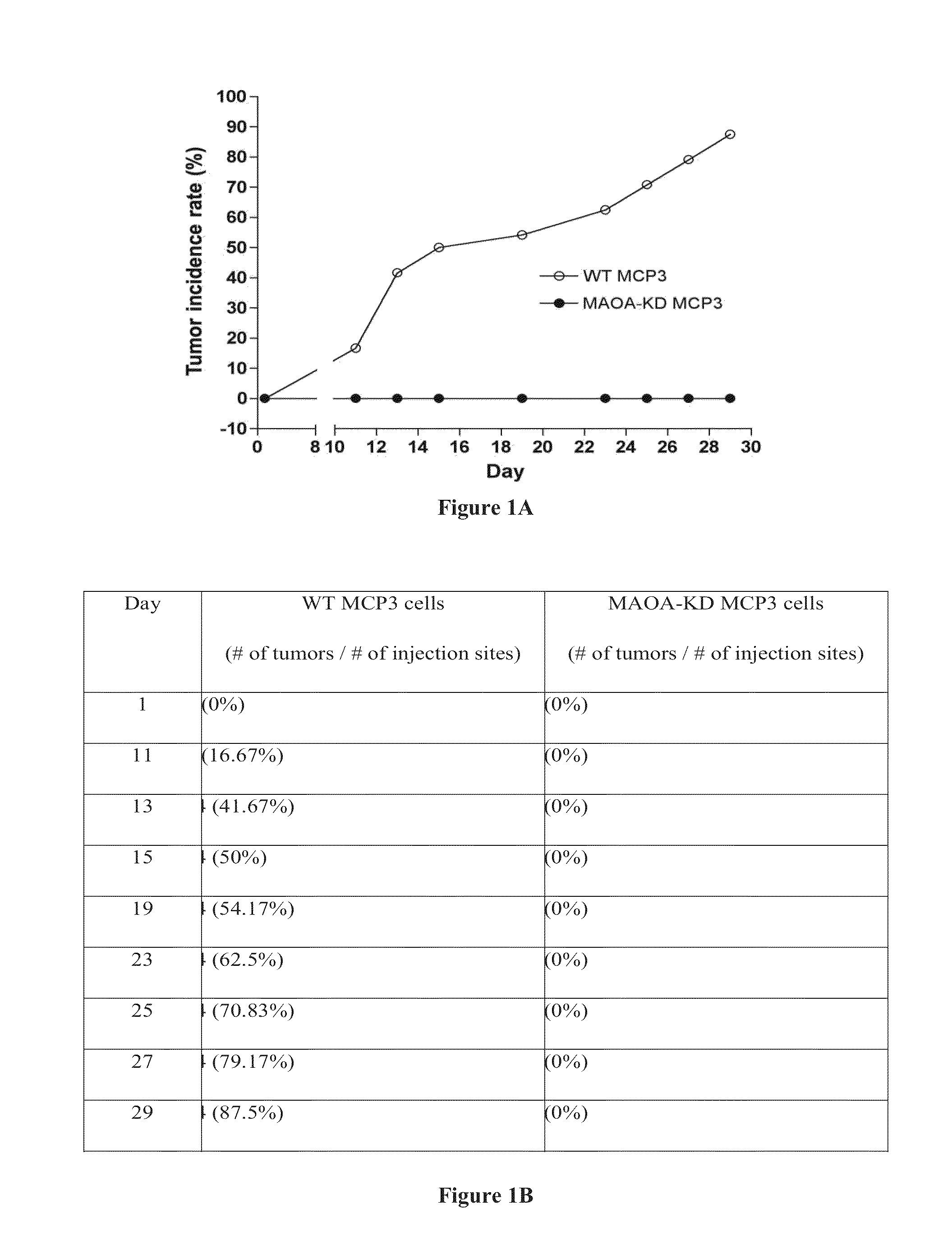 Monoamine oxidase inhibitors and methods for treatment and diagnosis of prostate cancer