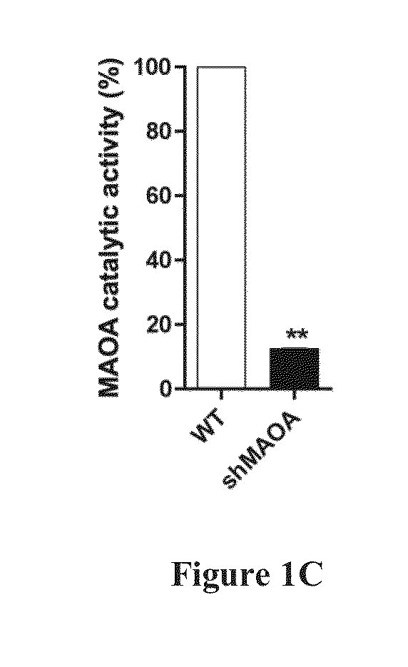 Monoamine oxidase inhibitors and methods for treatment and diagnosis of prostate cancer