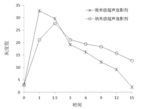 Nanometer lipid ultrasonic contrast agent and preparation method thereof