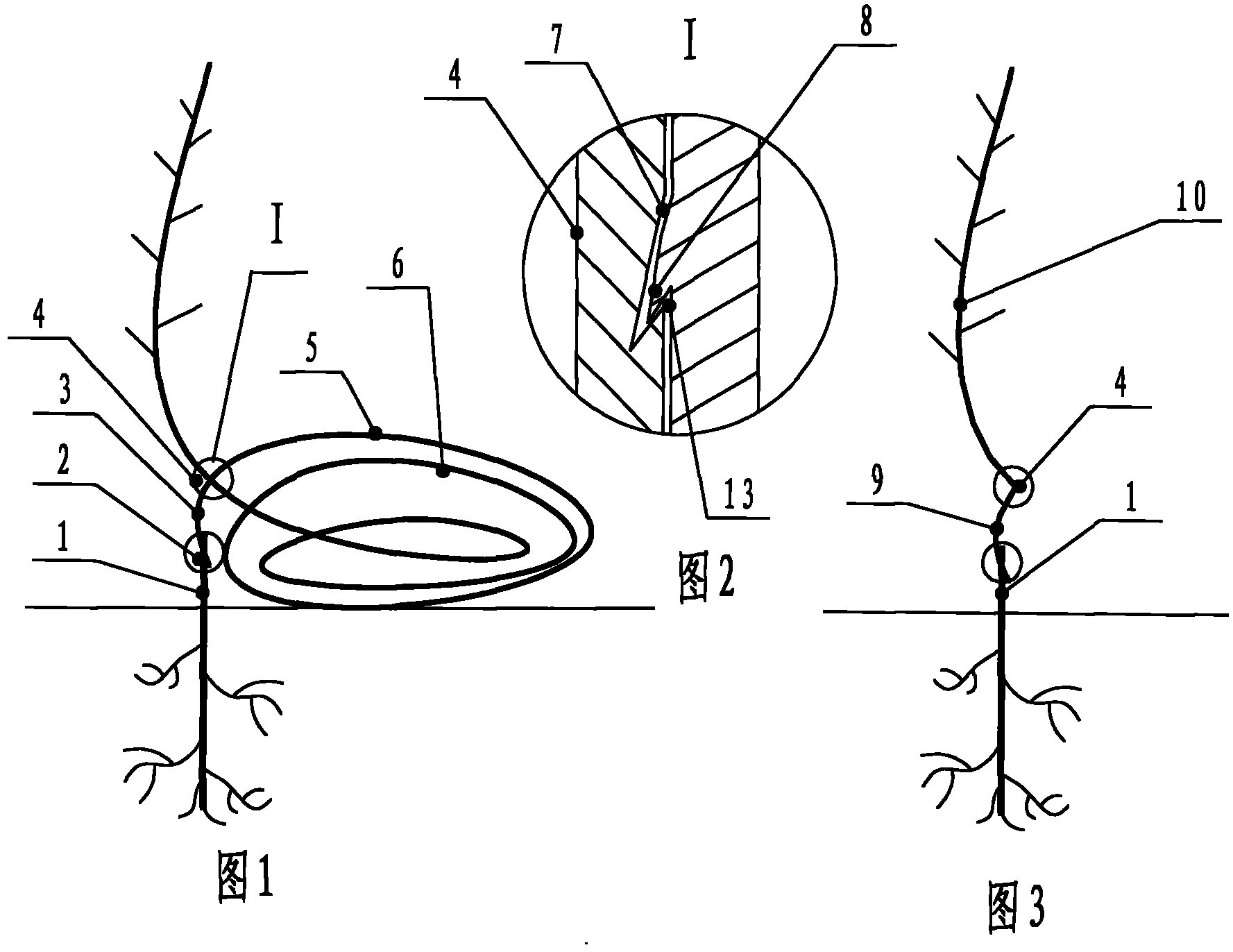 Multiple-grafting successive cultivation method