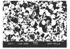 Controlled-release recombinant human bone morphogenic protein-2 poly-L-lactic acid microspheres and preparation method thereof