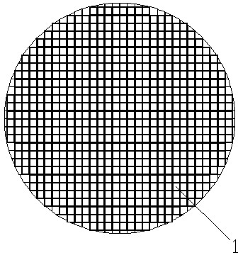 Double-light-resistance wall and preparation method thereof