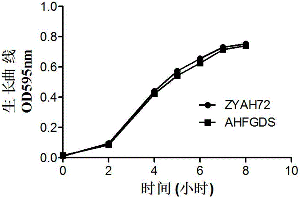 AHFGDS (aeromonas hydrophila five-gene deletion strain) attenuated bacteria without antibiotic markers and application