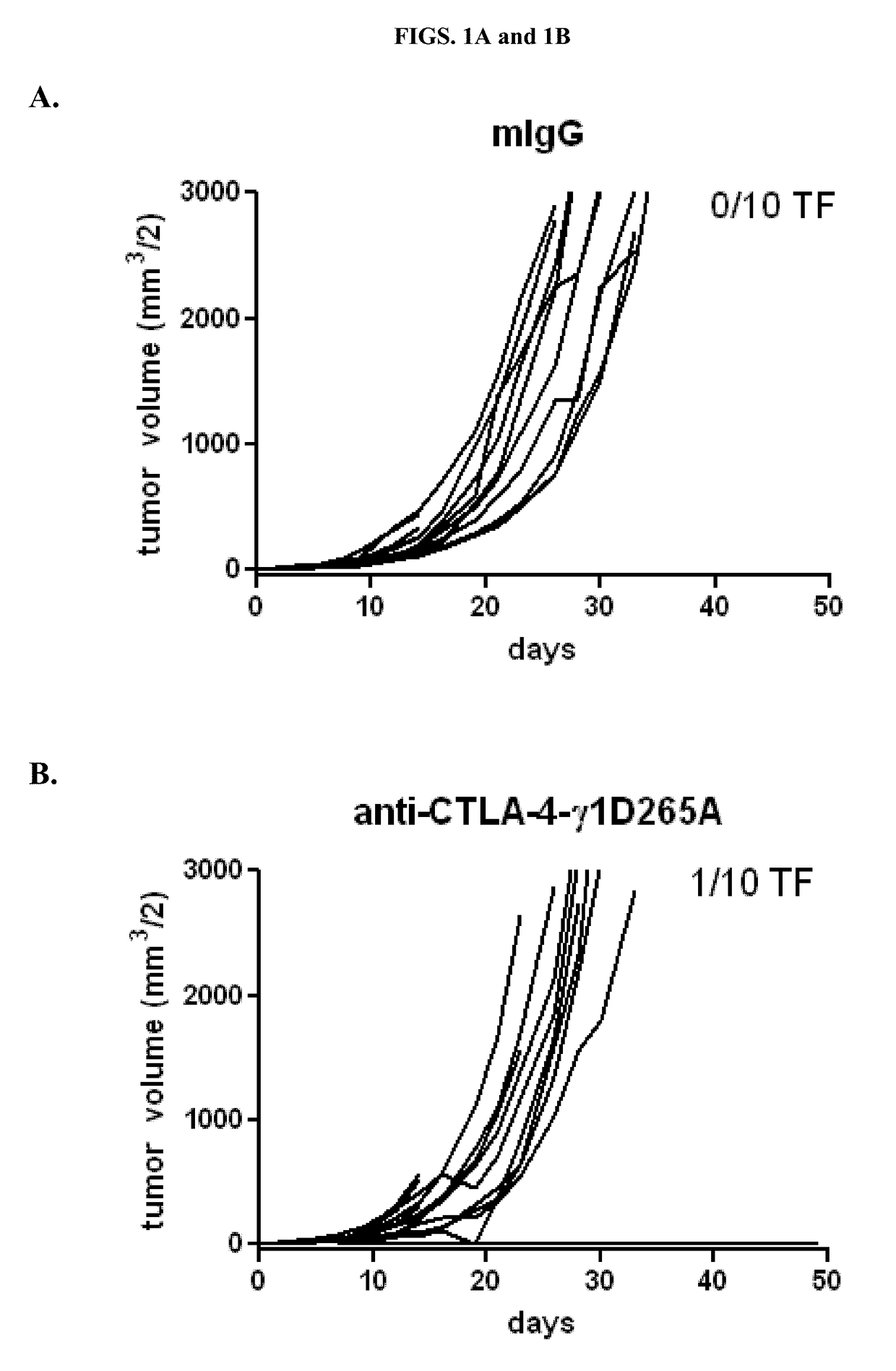 Ipilimumab variant with enhanced ADCC