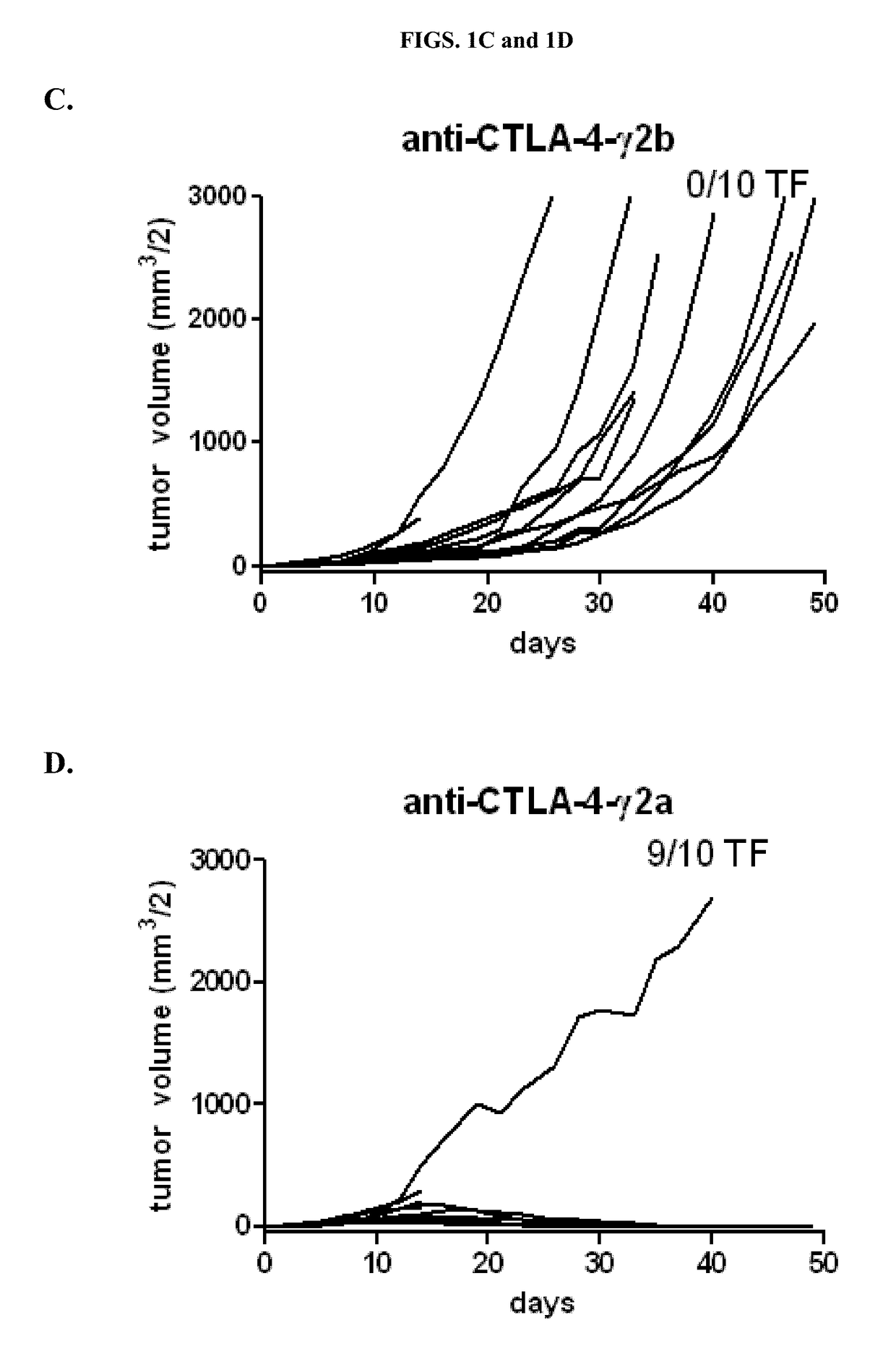 Ipilimumab variant with enhanced ADCC