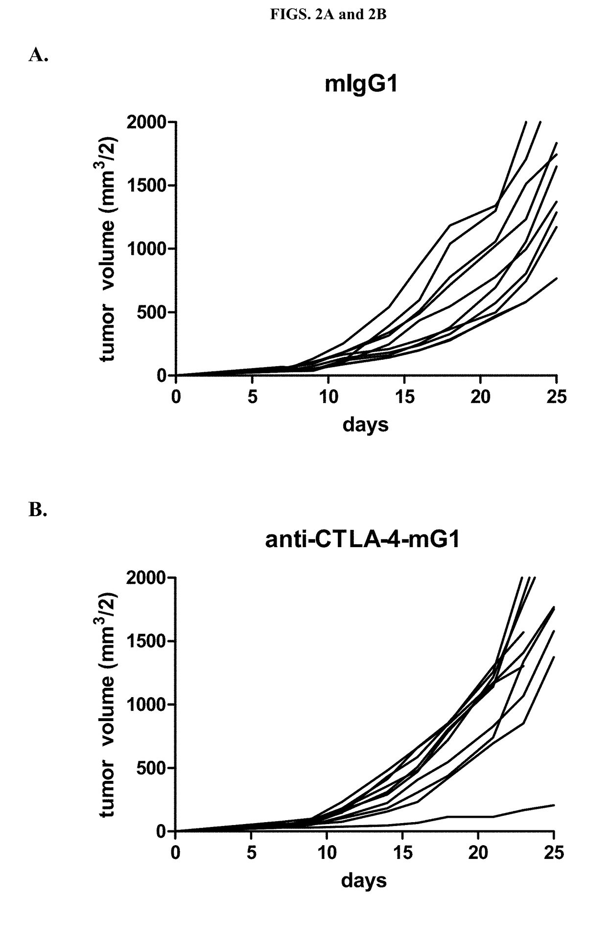 Ipilimumab variant with enhanced ADCC