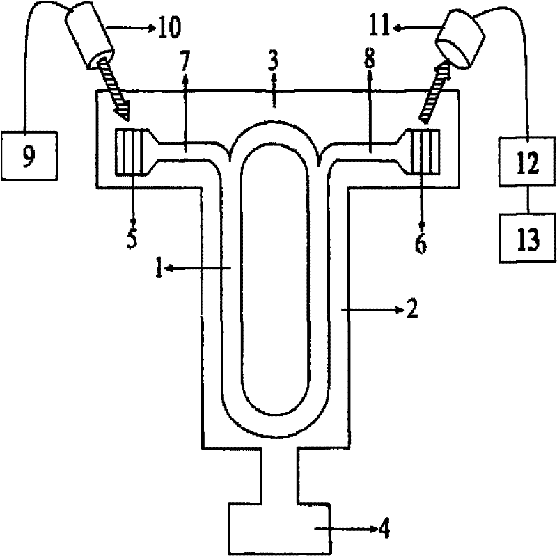 Optical cavity micro-accelerometer based on integrated input/output terminal