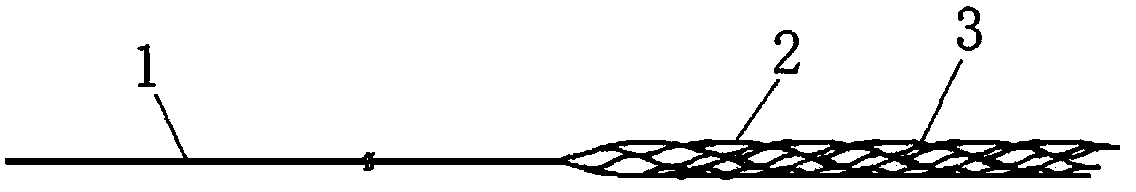 Encephalic drug eluting stent