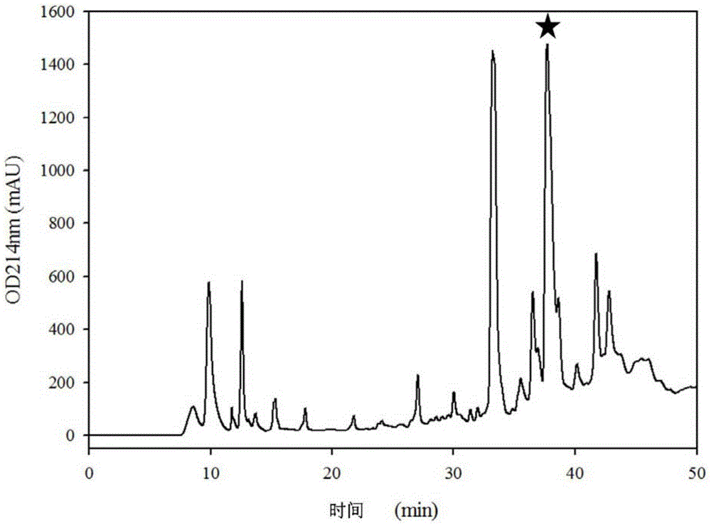 Conotoxin alphaD-GeXXA gene, and polypeptide and applications thereof