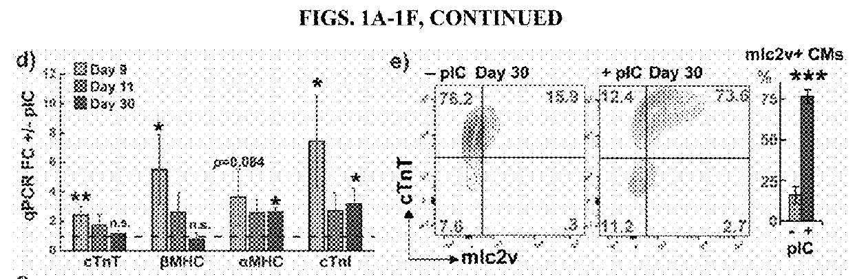 Primed Cardiac Progenitors and Methods for Making and Using Same