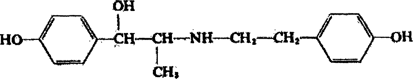 Ritodrine liposome and its prepn