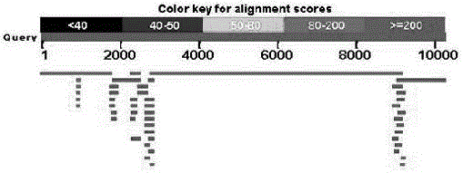 DTMUV non-diagnostic detection method based on metagenomics