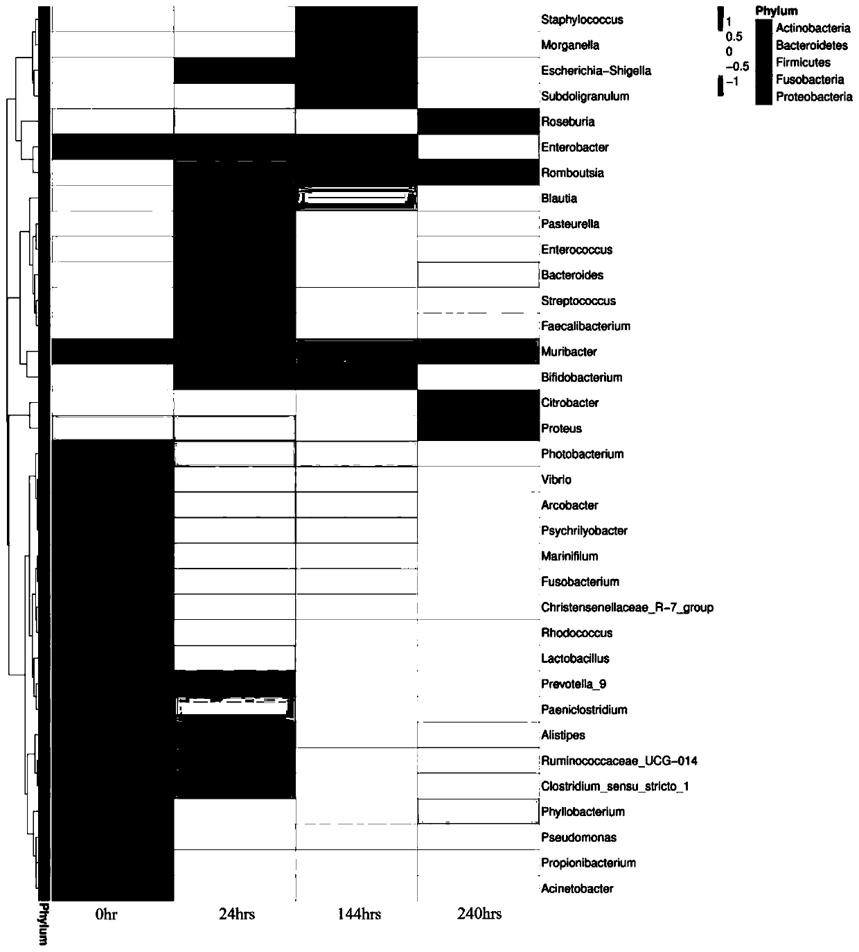 Method for obtaining postmortem interval of mouse