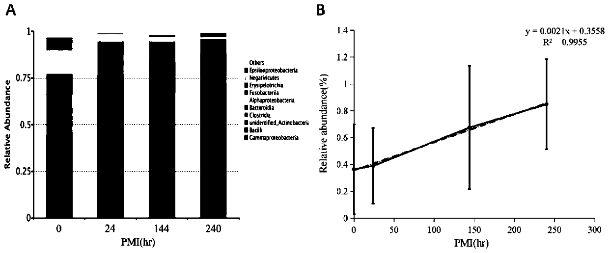 Method for obtaining postmortem interval of mouse