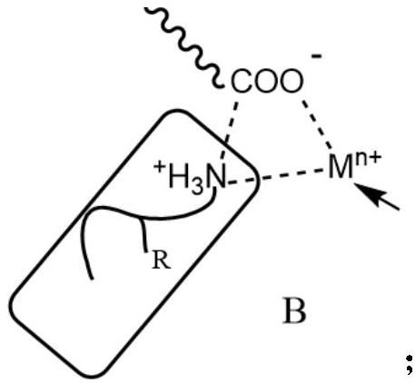 Water-phase easily dispersible metal ion-loaded hyperbranched polymer and preparation method thereof