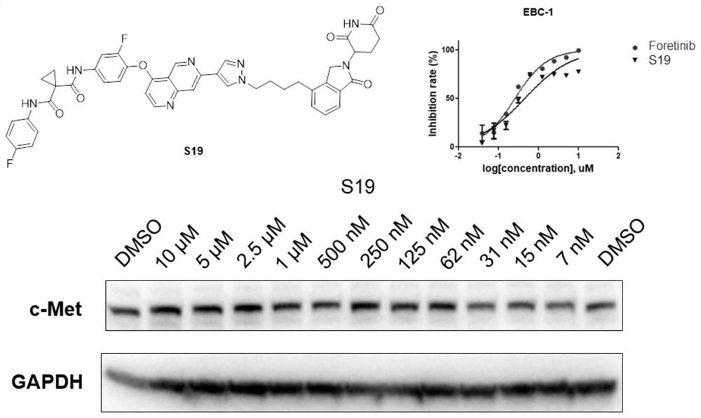 Targeted protein degradation c-Met degradation agent as well as preparation method and application thereof