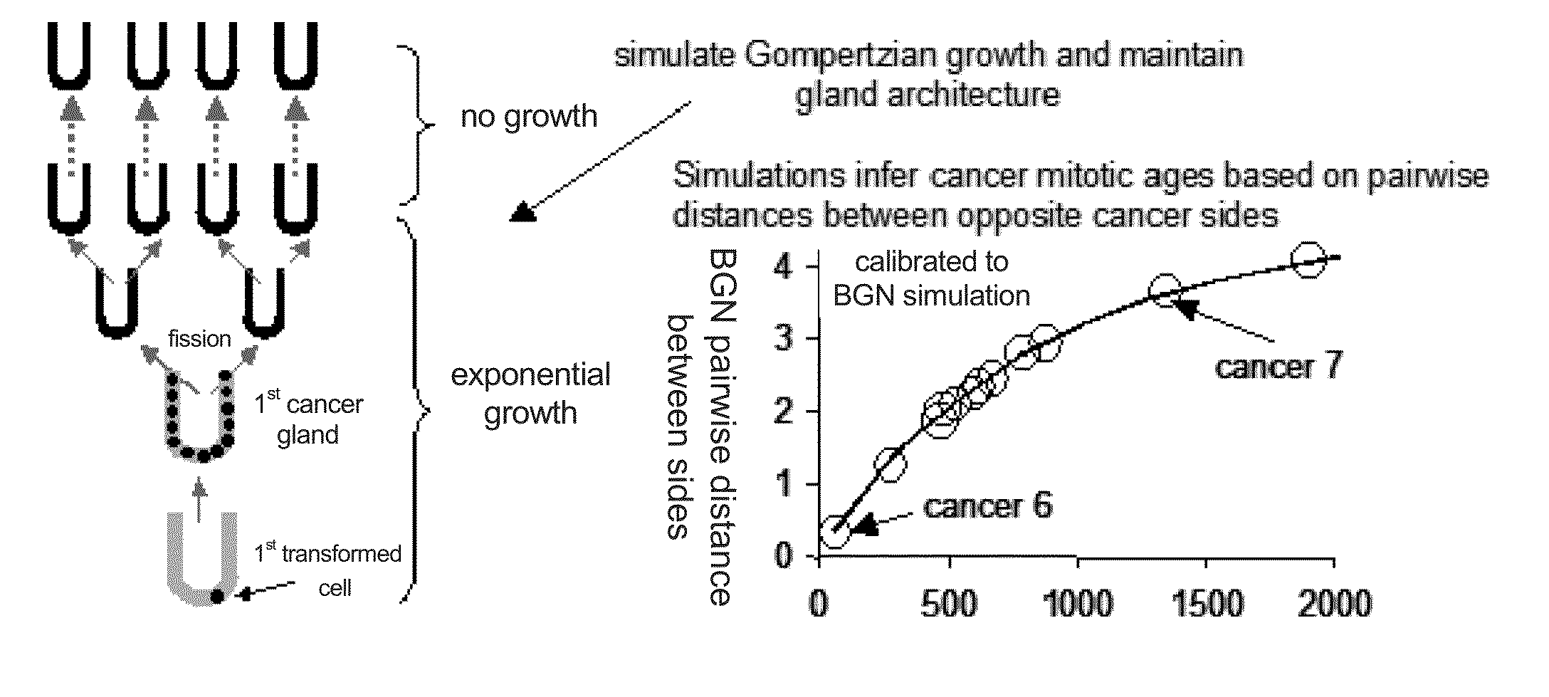 Multi-scale complex systems transdisciplinary analysis of response to therapy