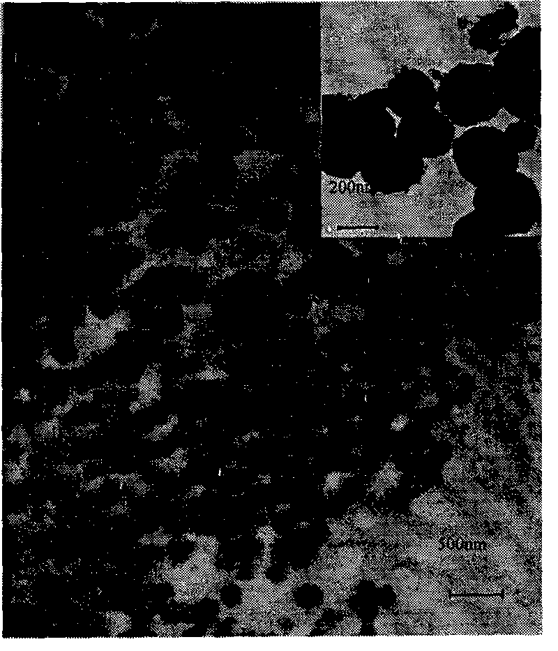 Process for preparing nano-starch powder