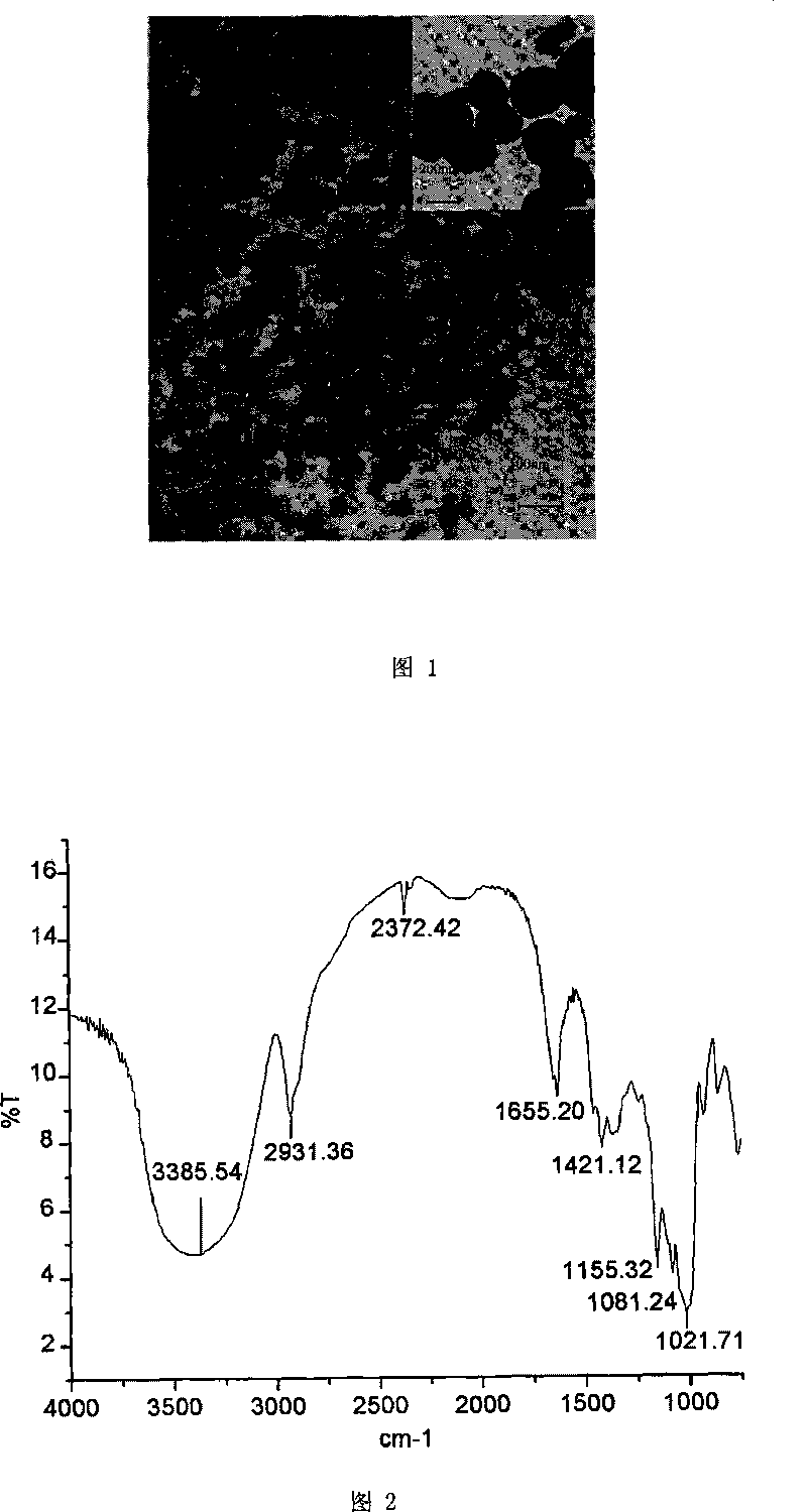 Process for preparing nano-starch powder