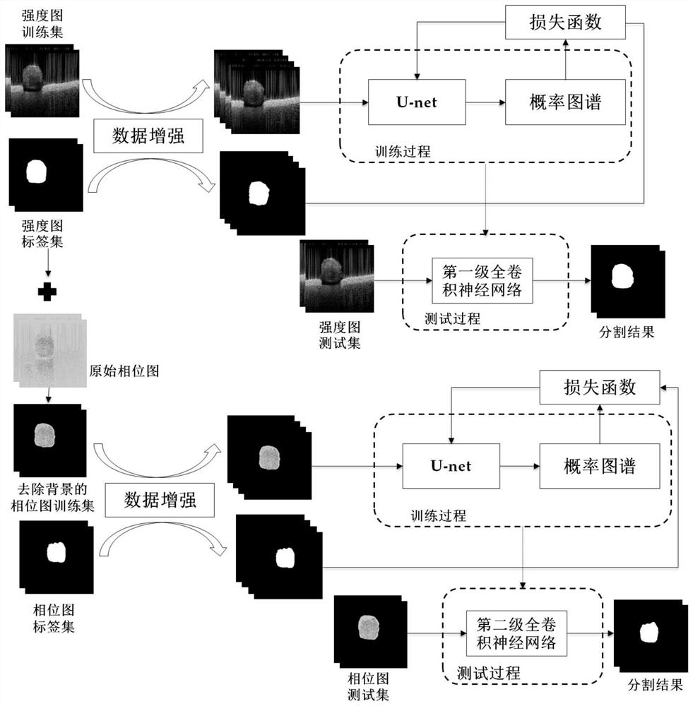 Method and device for segmenting blood vessel wall and blood flow region in vascular oct image